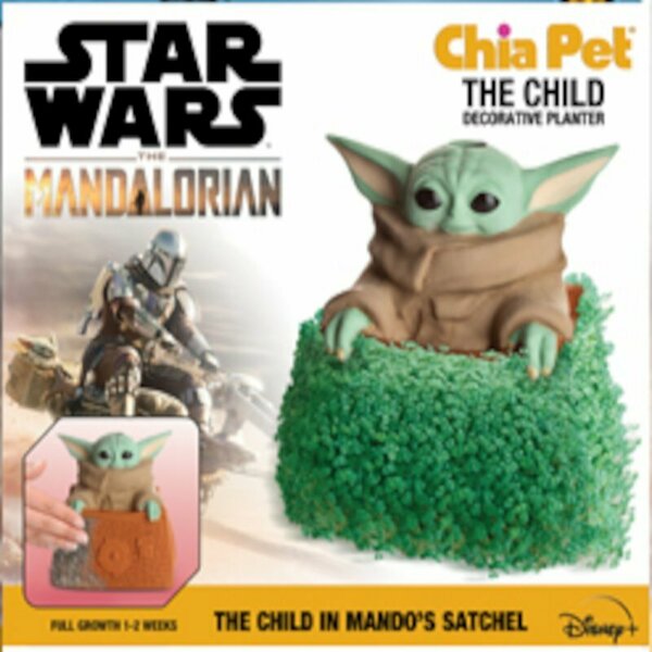 Chia Pet CHILD STAR WARS CP985A16